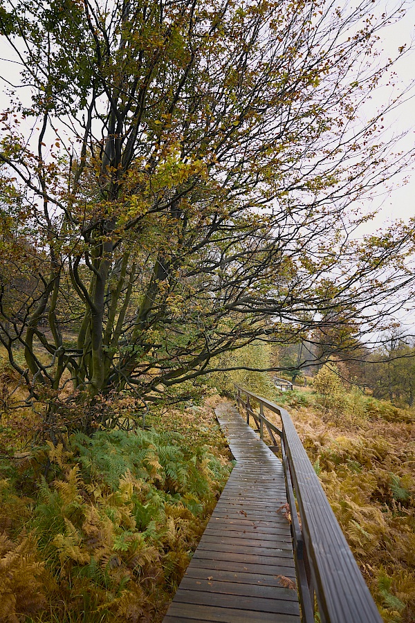 Saar-Hunsrück-Steig Etappe 10 Saarland