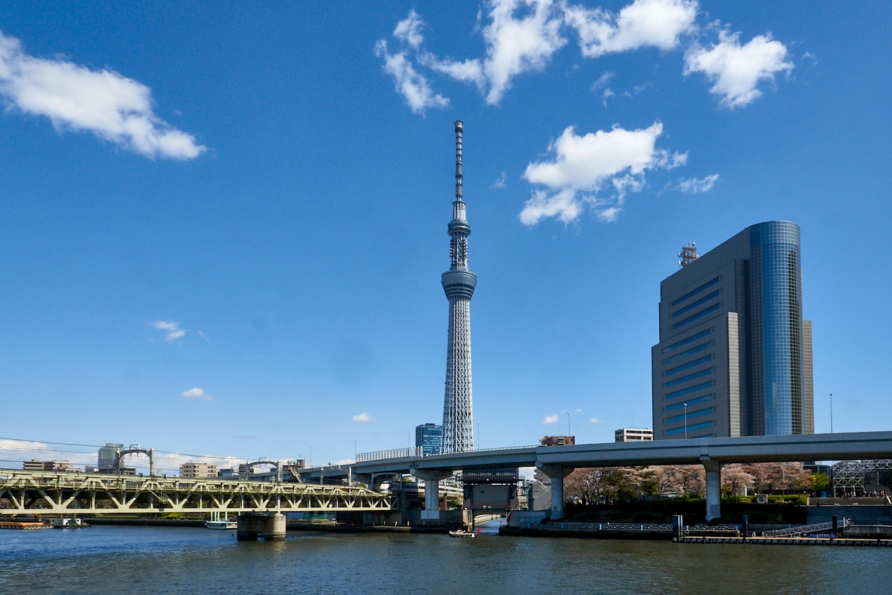 Der Tokyo Sky Tree vom Sumida Park aus gesehen