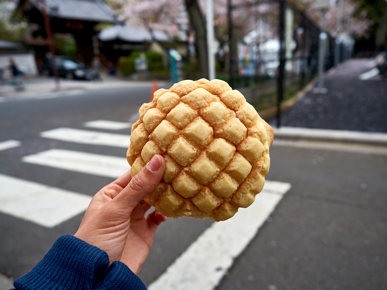 Melon pan aus Japan