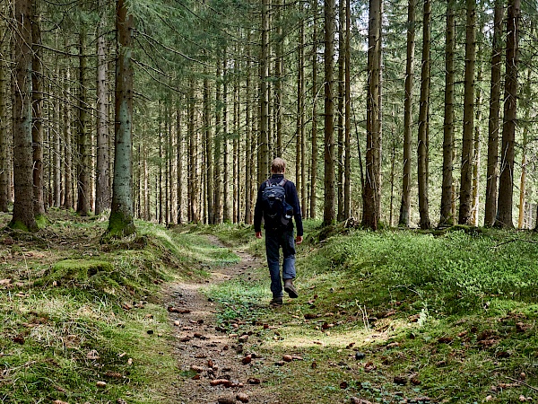 Wandern durch den Harz