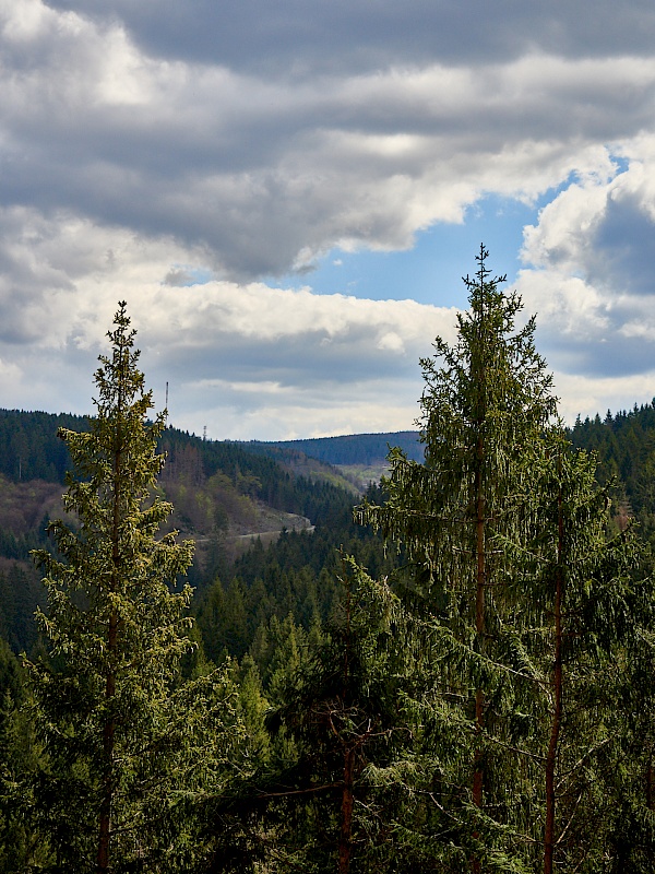 Aussichten auf den Harz