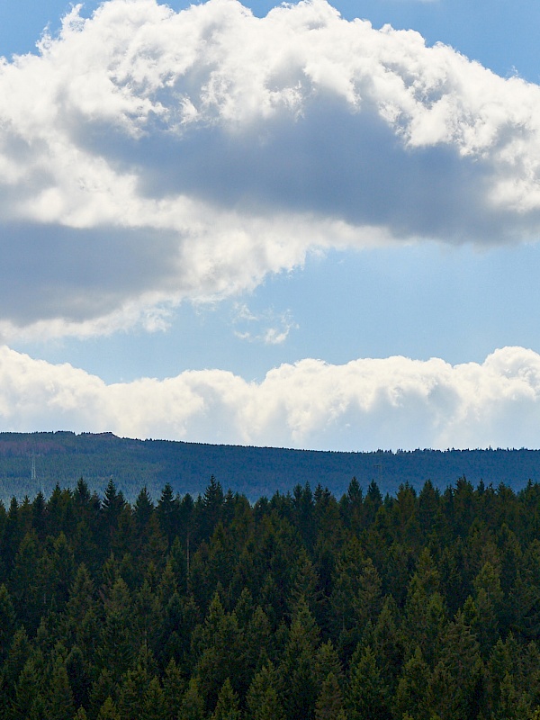 Aussichten auf die Wälder im Harz