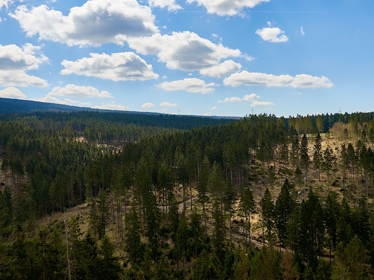 Blick auf den Harz - dichte Wälder und abgeholzte Stellen