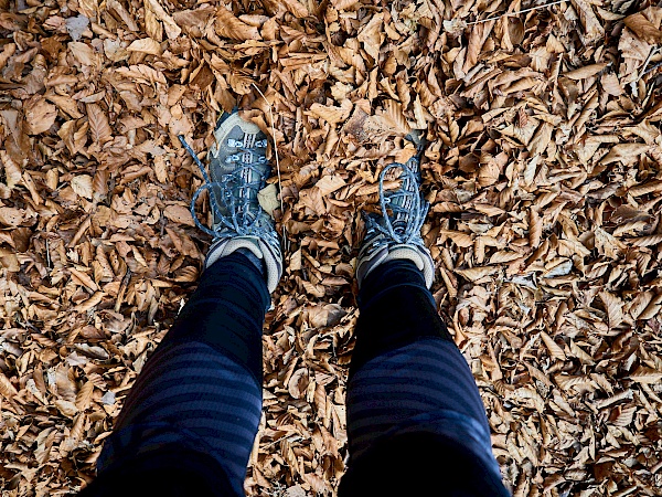 Wandern durch Laub im Harz