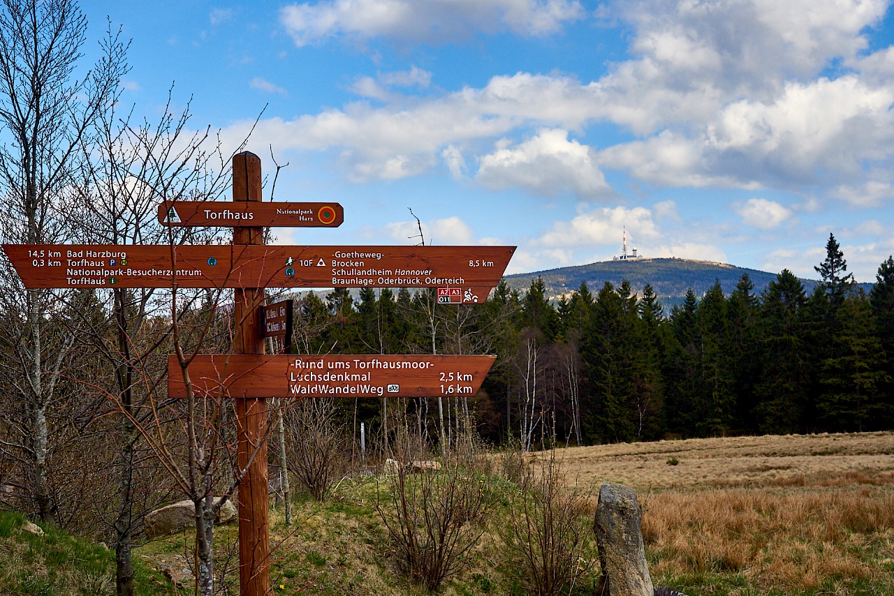 Wegweiser zum Torfhausmoor mit Blick auf den Brocken