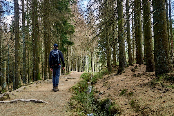 Auf dem Weg zum Torfhausmoor