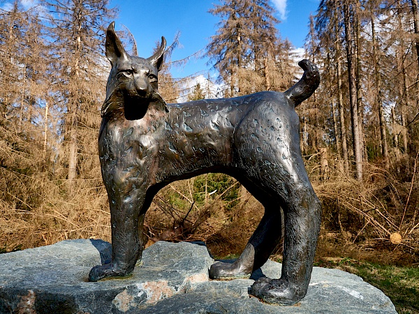 Der Luchs kehrt zurück in den Harz