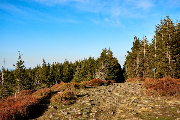 Angekommen auf der Wolfswarte