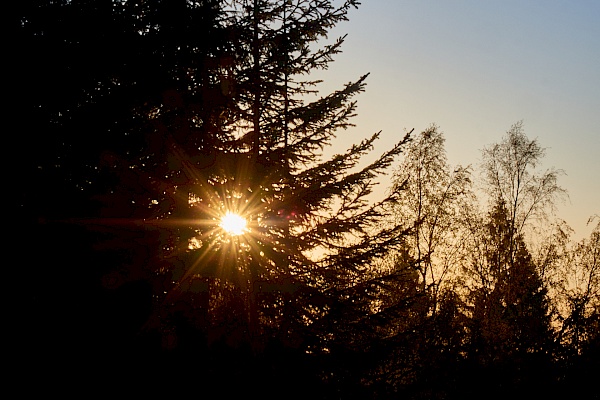 Untergehende Sonne im Harz