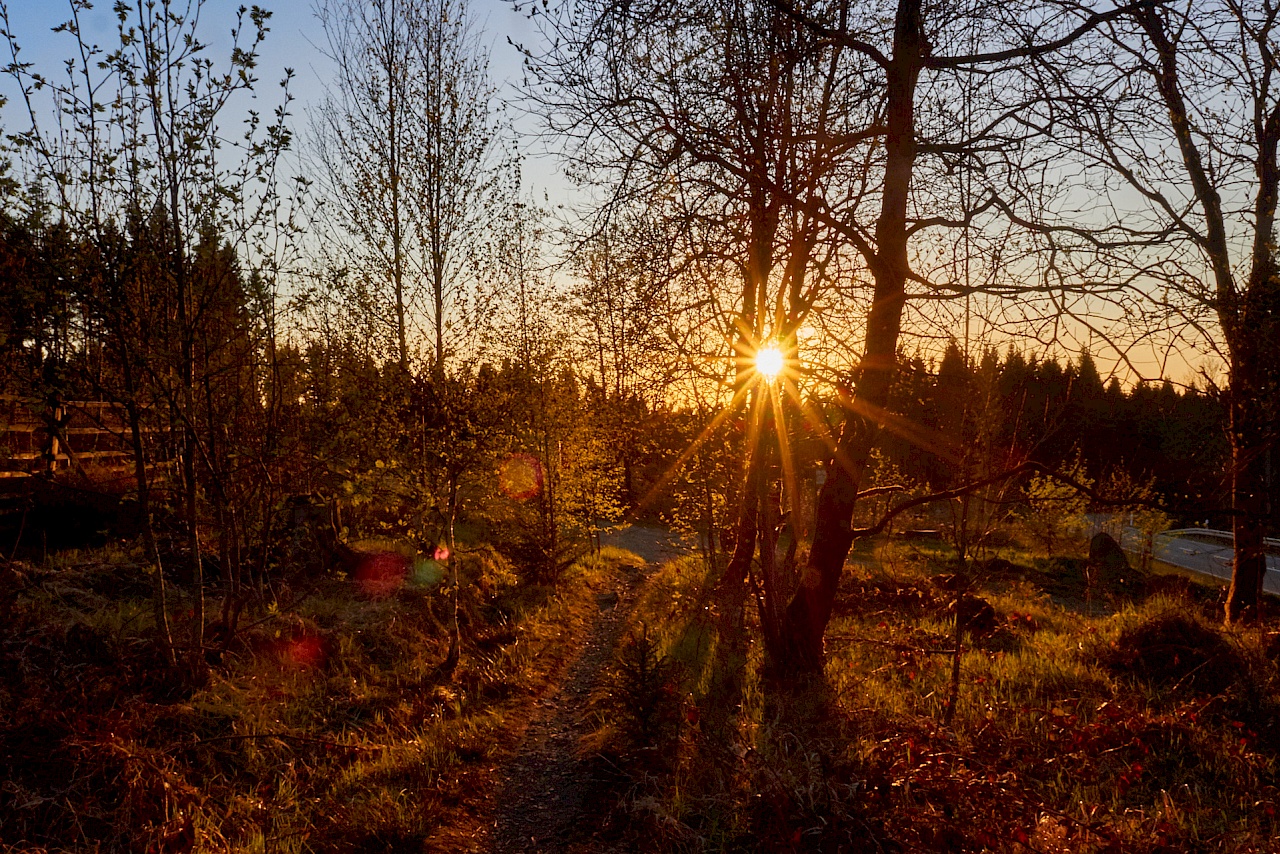 Ein schöner Wandertag geht zu Ende