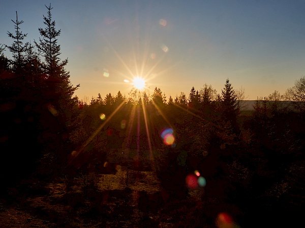 Sonnenuntergang im Harz