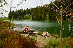 p1010190-liebesbankweg-harz-niedersachsen-deutschland-littlediscoveries_net_1.jpg