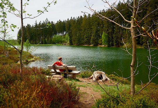 p1010190-liebesbankweg-harz-niedersachsen-deutschland-littlediscoveries_net_1.jpg