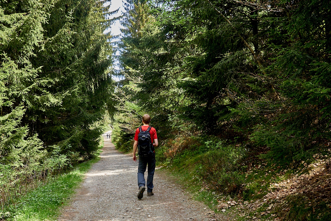 Beginn der Wanderung auf dem Liebesbankweg in Hahnenklee