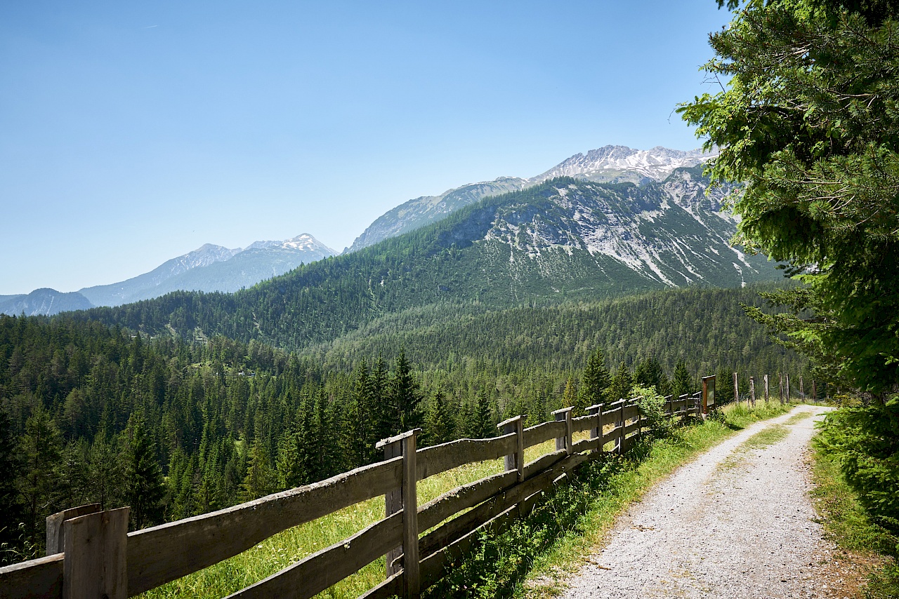 Fernpasshöhe - Starkenberger Panoramaweg Imst