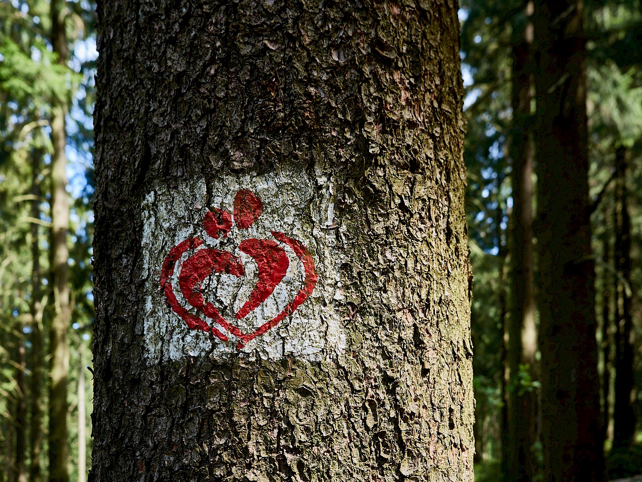 Beschilderung auf dem Liebesbankweg