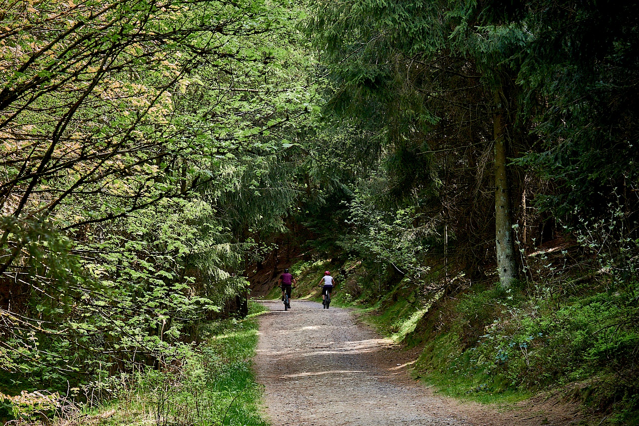 Mountainbiker auf dem Liebesbankweg in Hahnenklee