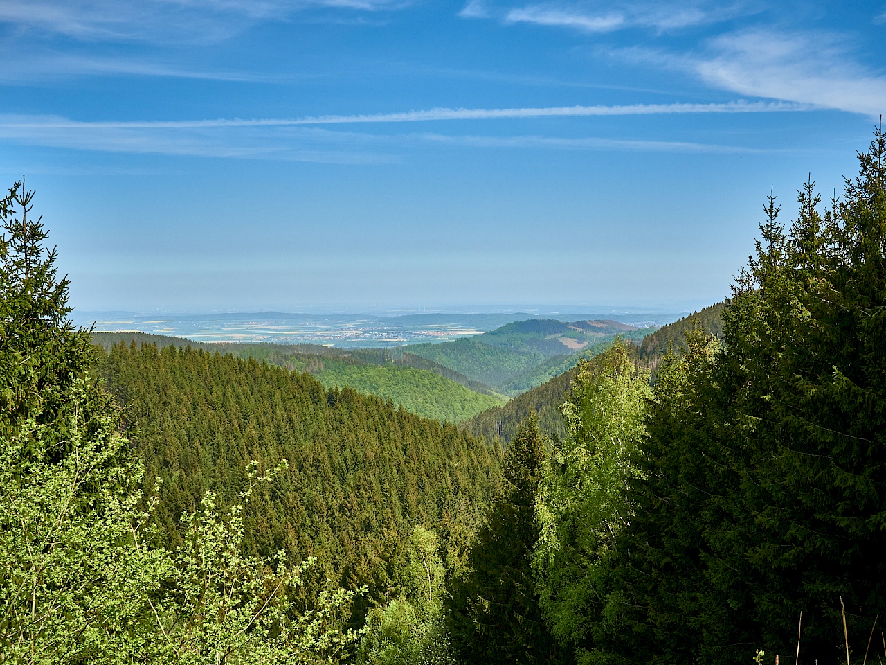 Blick ins Harzvorland vom Liebesbankweg