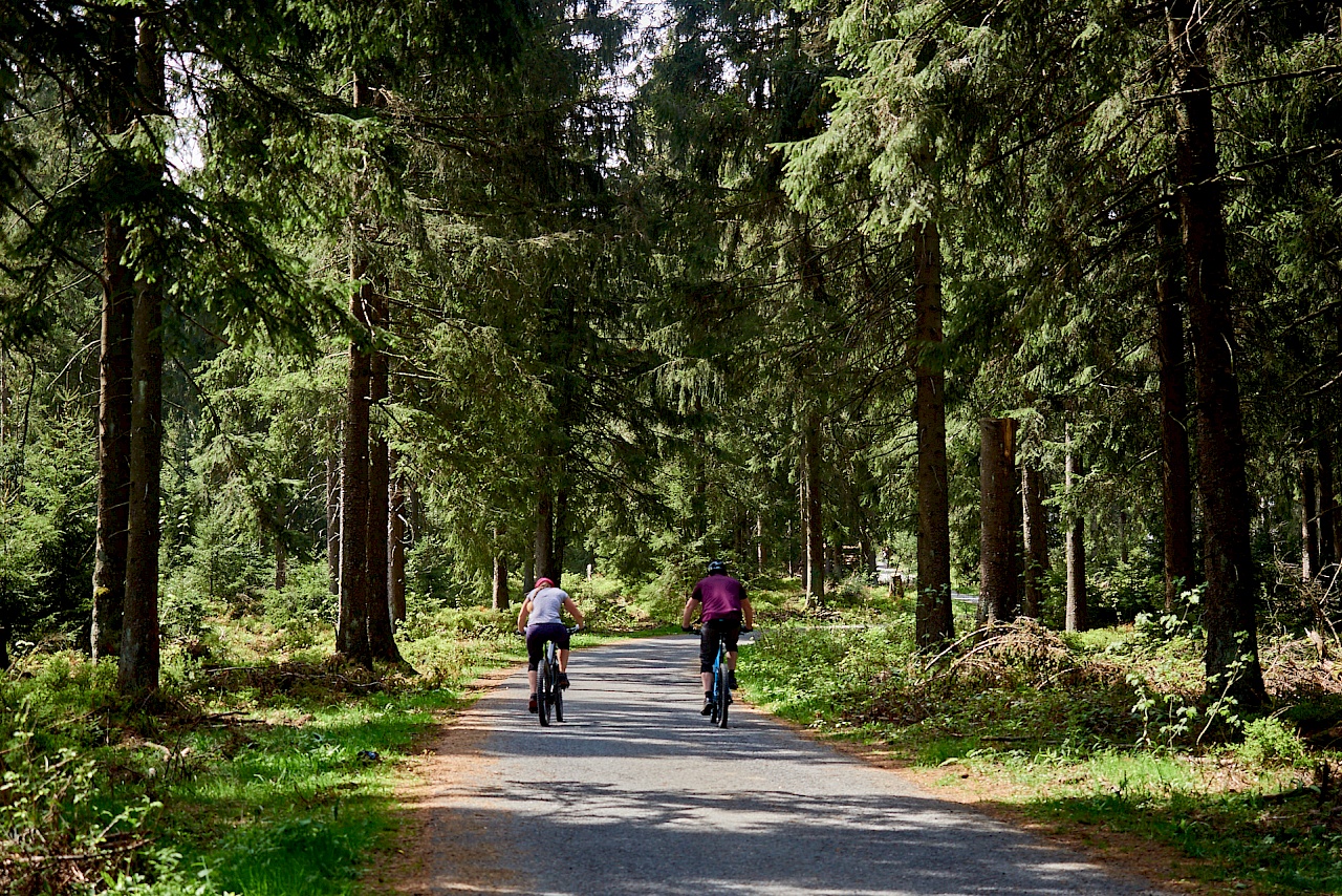 Mountainbikefahrer auf dem Weg zum Bocksberg