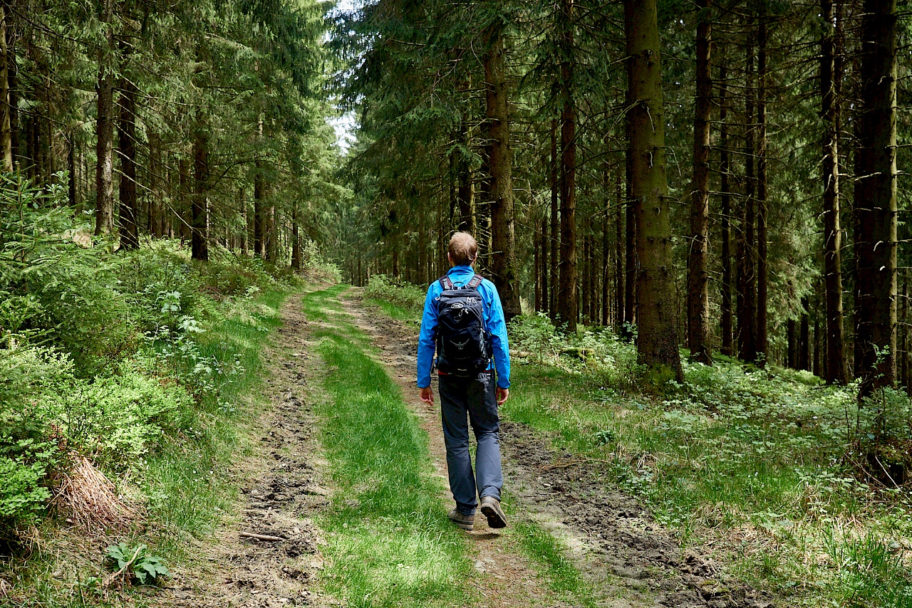 Vom Bocksberg zurück zum Liebesbankweg