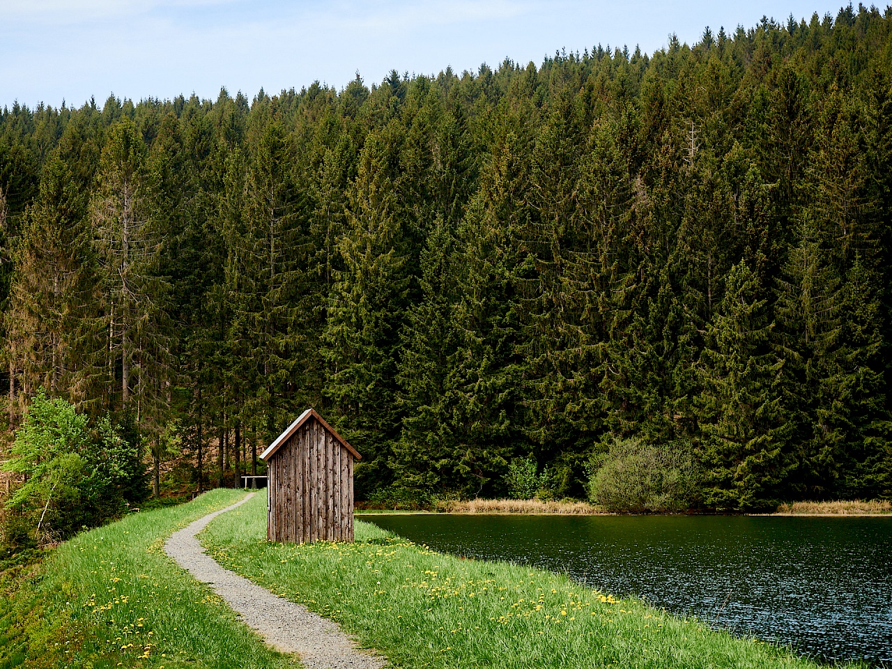 Historischer Damm führt über einen Teich