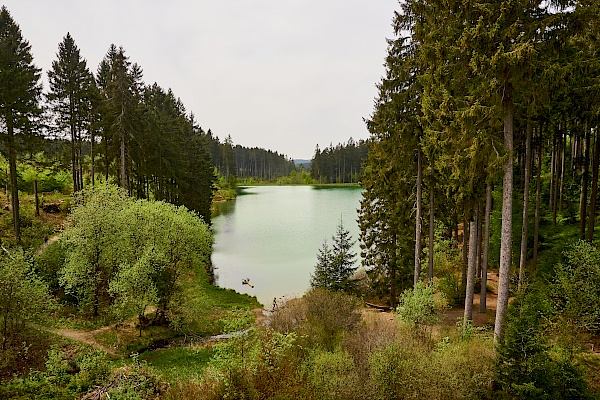 Mittlerer Grumbacher Teich auf dem Liebesbankweg