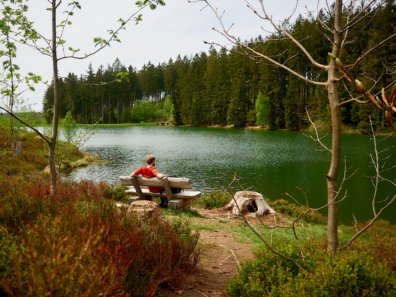 Ausblick auf den Mittleren Grumbacher Teich genießen