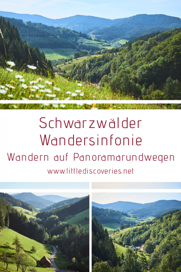 Pin für die Wanderung auf der Schwarzwälder Wandersinfonie für Pinterest