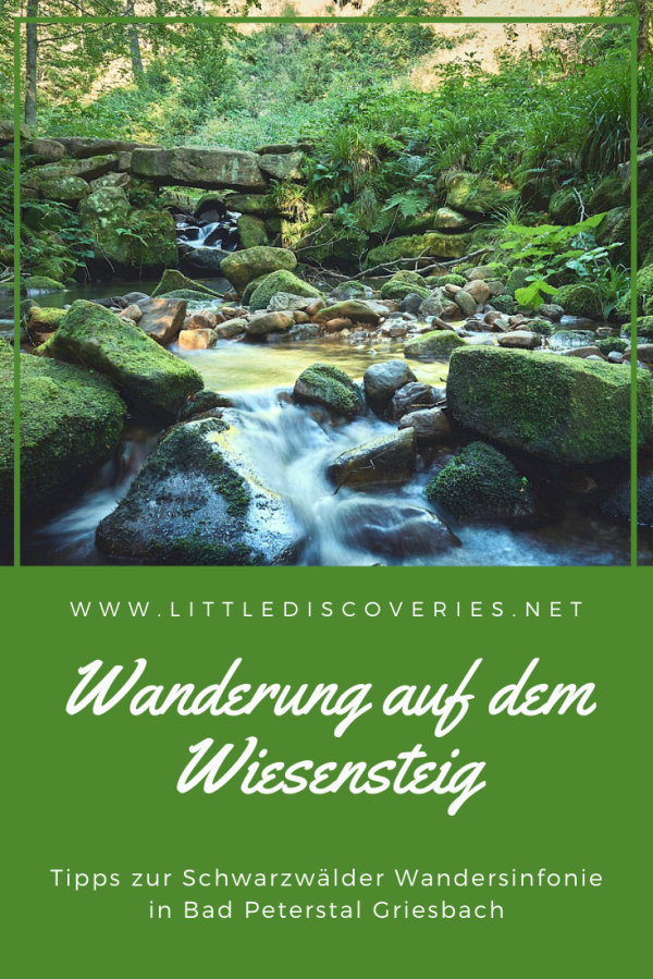 Pin für Wanderung auf dem Wiesensteig auf Pinterest