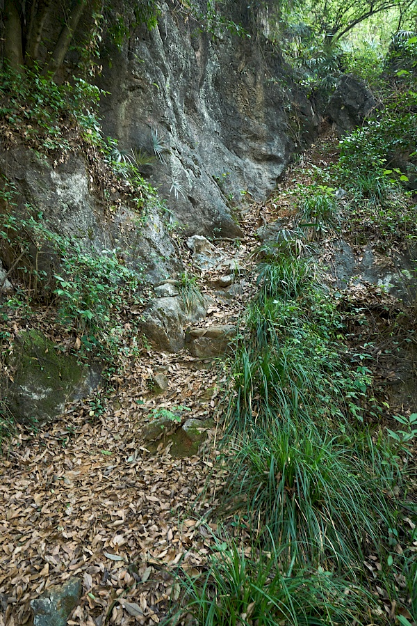 Aufstieg auf den Berg des grünen Lotus