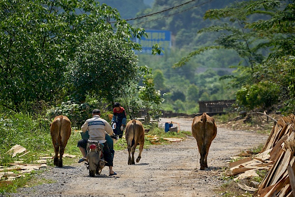 Unterwegs in Yangshuo (China)