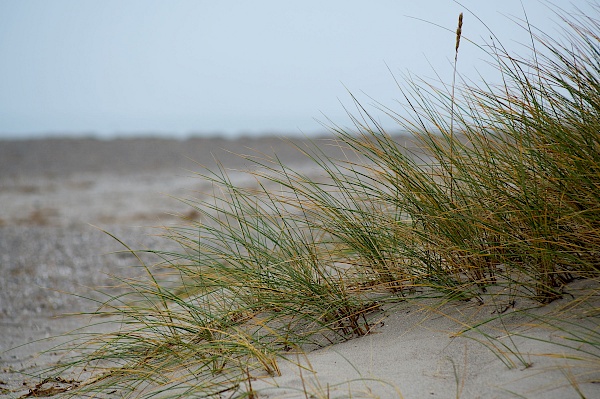 Amager Strand in Kopenhagen