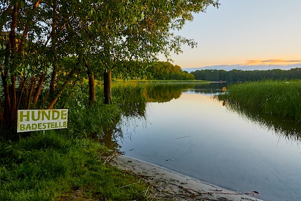 Hunde-Badestelle am Ferienpark Mirow