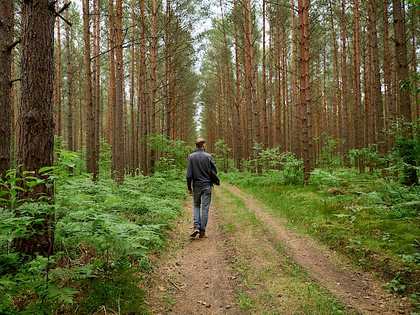 Waldspaziergang am Ferienpark Mirow