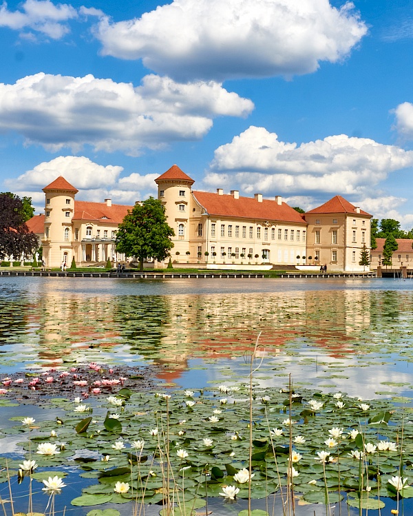 Schloss Rheinsberg vor dem Seerosenpanorama