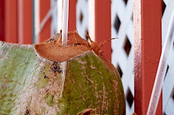 rio-piedras-markt-san-juan-puerto-rico-littlediscoveries_net.jpg