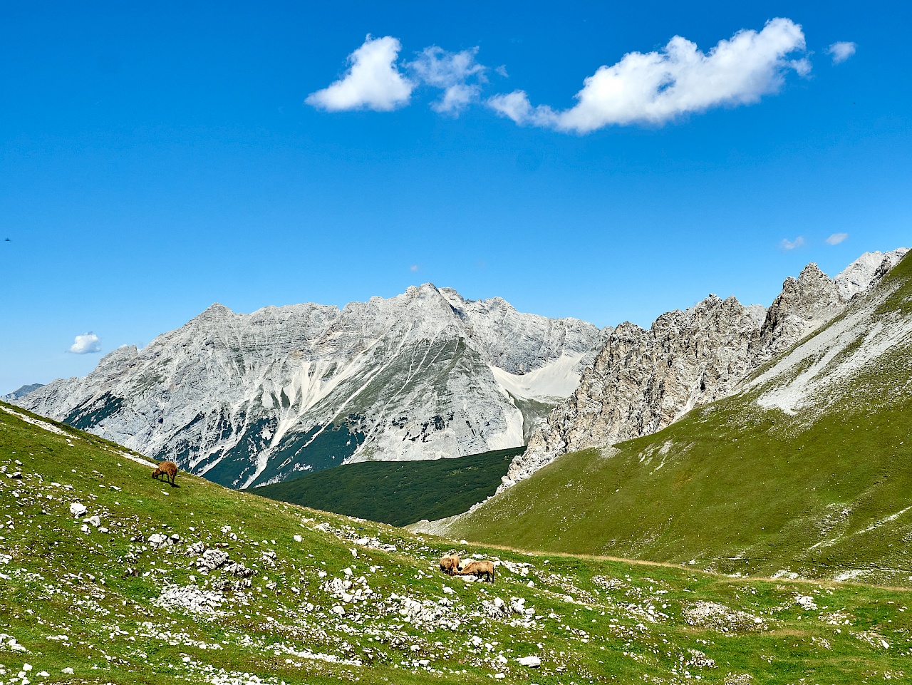 Blick auf das Karwendelgebirge