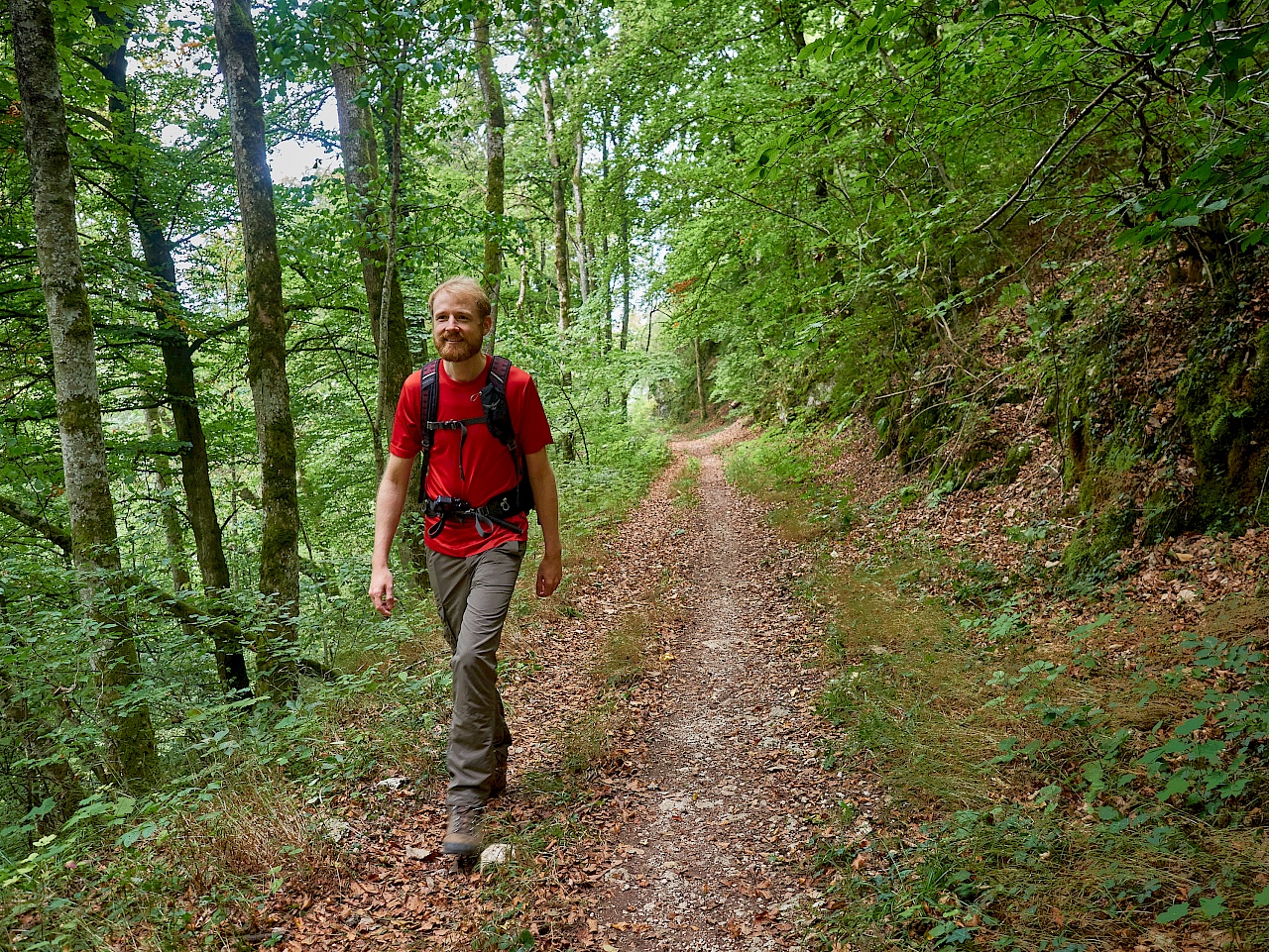 Wanderung auf der DonauWelle Eichfelsen-Panorama