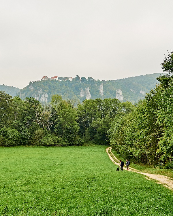 Blick auf die Burg Wildenstein