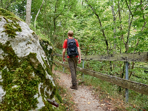 Auf dem Weg zur Burg Wildenstein