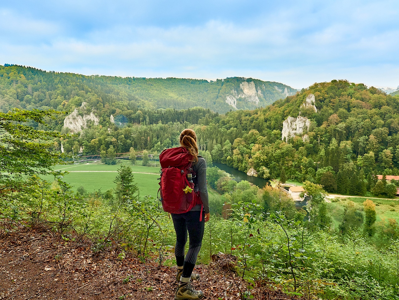 Blick ins Donautal von der DonauWelle Eichfelsen-Panorama