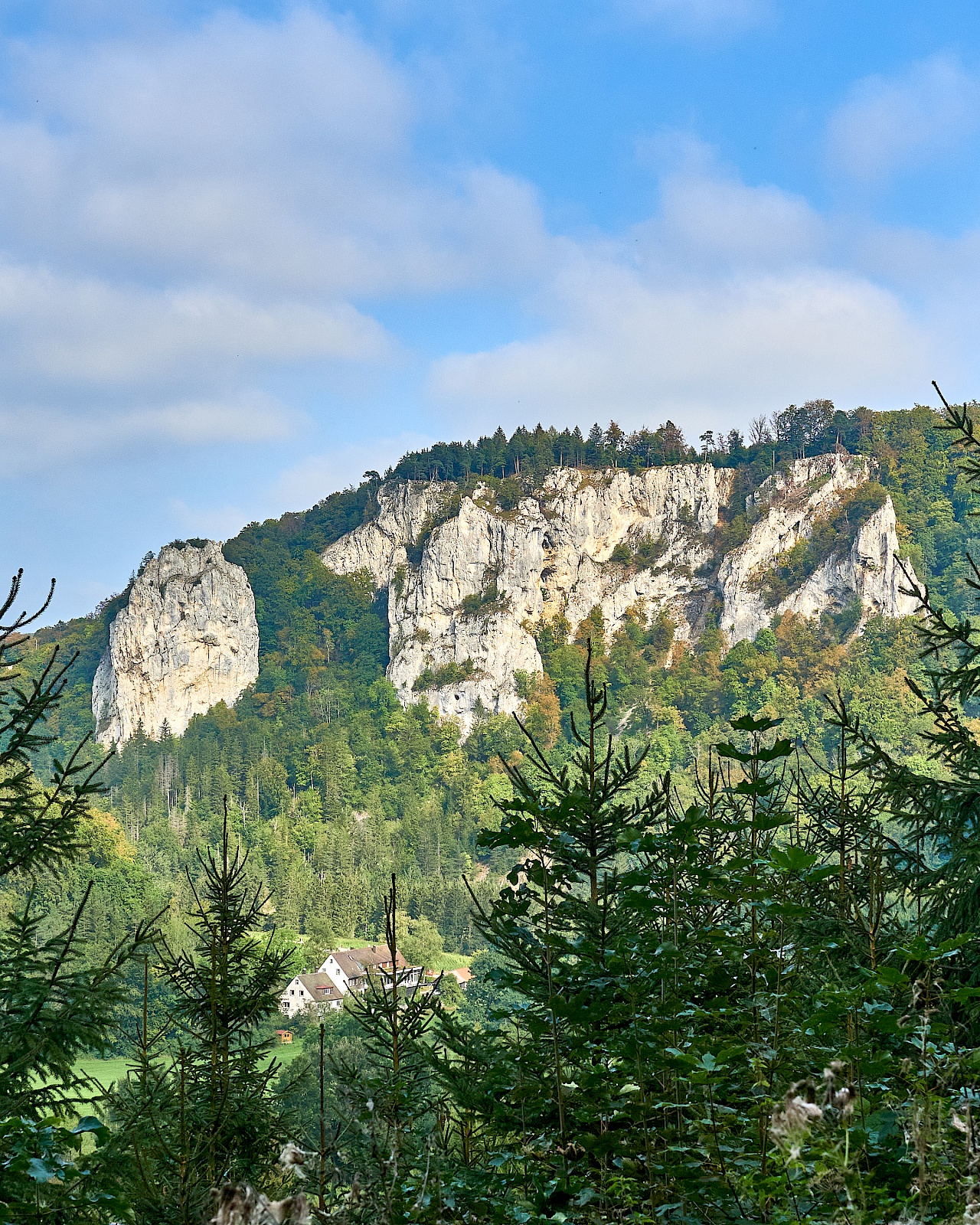 Blick auf Beuron auf der DonauWelle Eichfelsen-Panorama