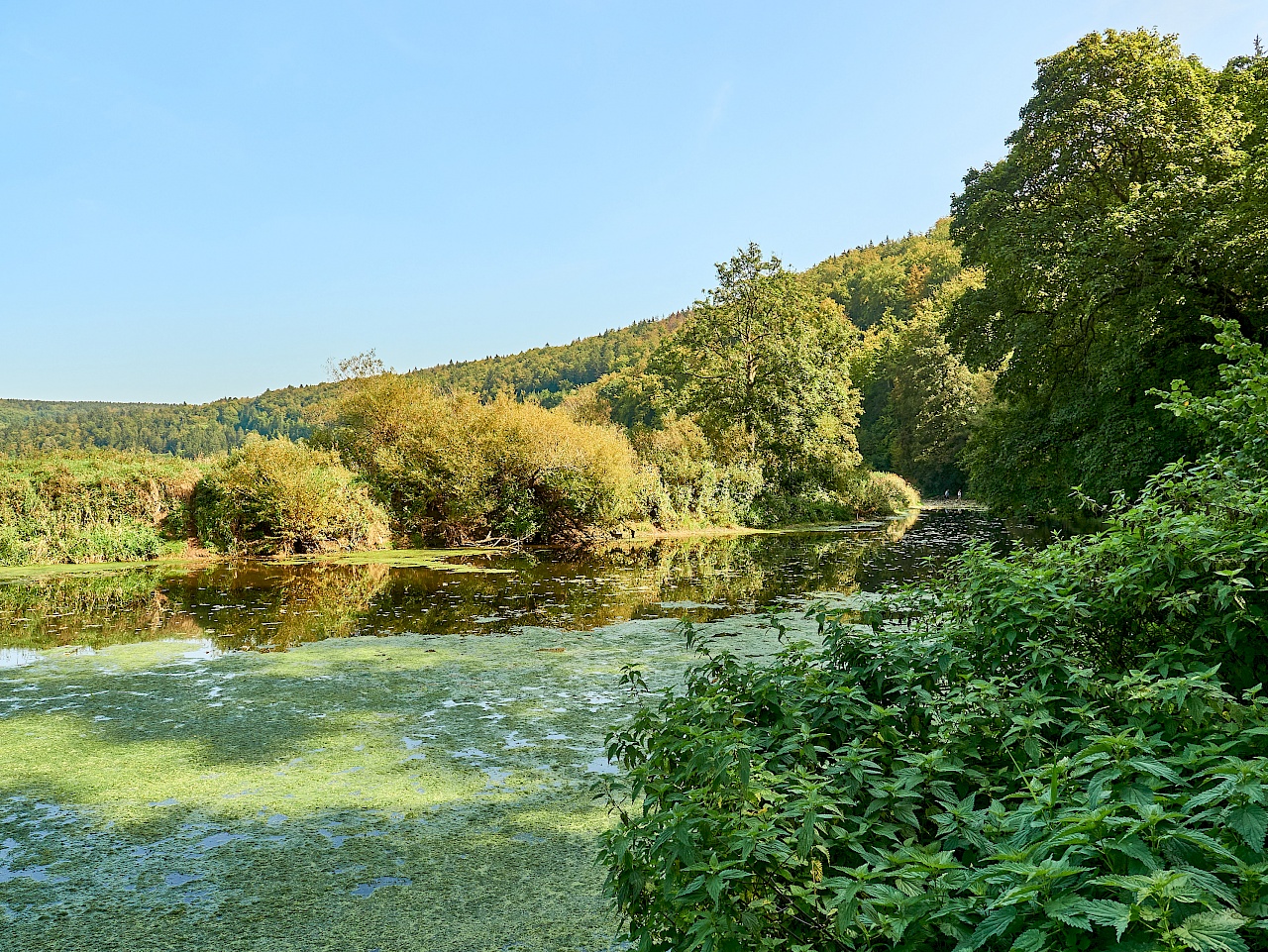 Die Donau im Donaubergland