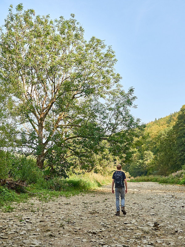 Wanderung in der Donauversinkung