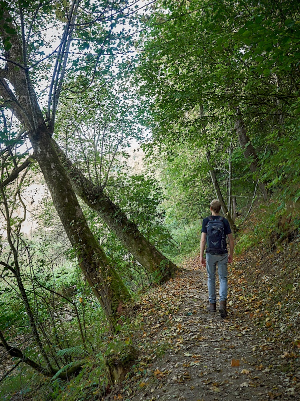 Wanderung entlang des Donauufers