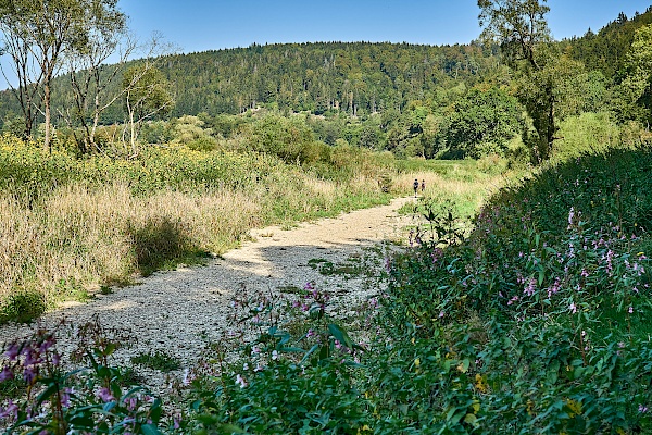 Die Donauversinkungsstelle bei Immendingen