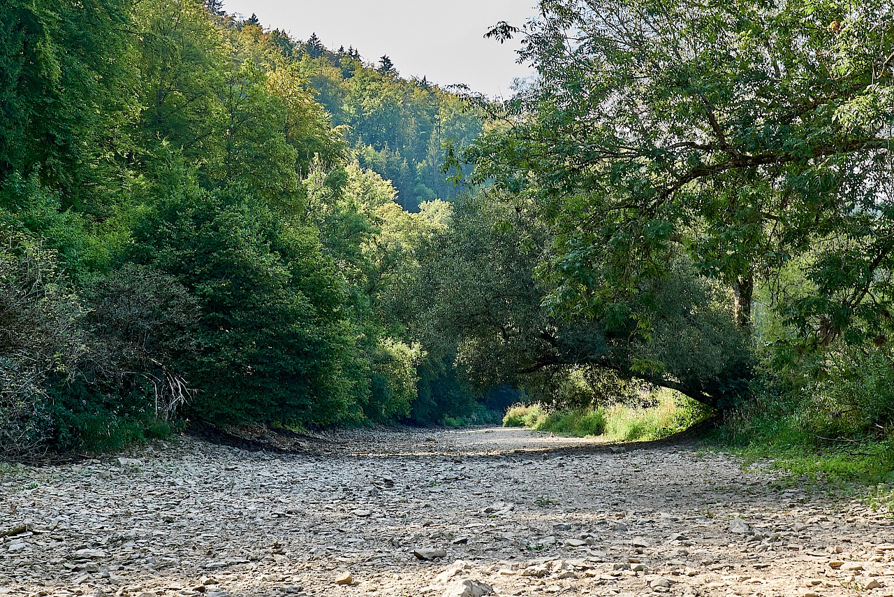 Die Donauversinkungsstelle bei Immendingen