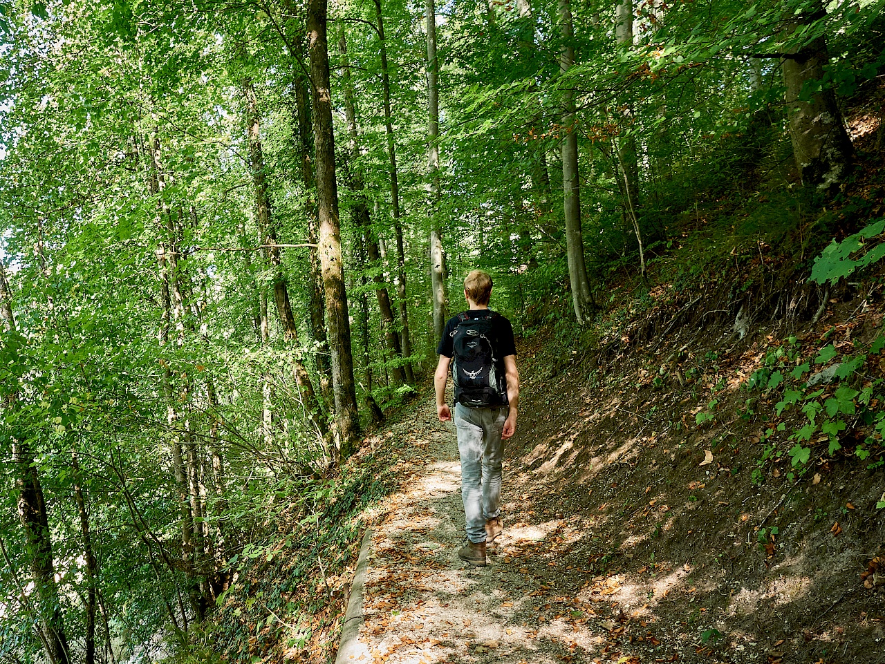 Wandern entlang des Donauufers auf der DonauWelle Donauversinkung.