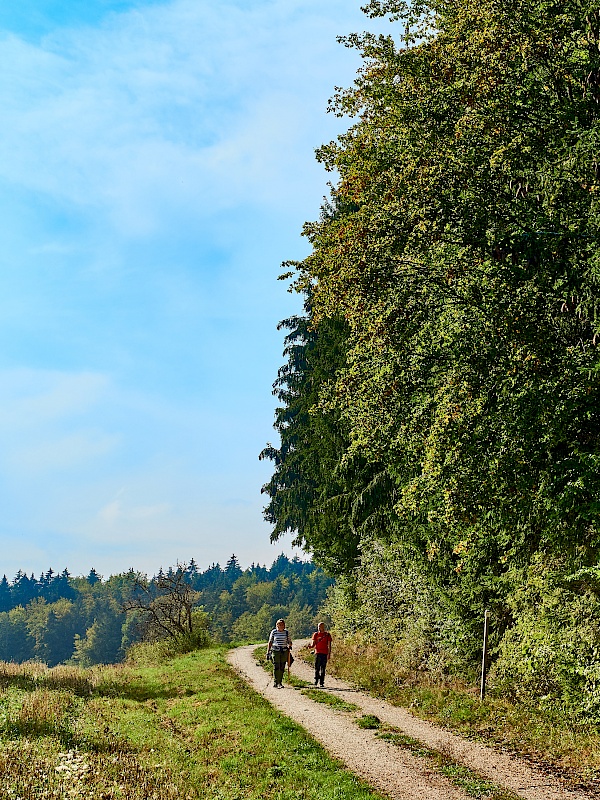 Auf Feldwegen wandern - DonauWelle Donauversinkung