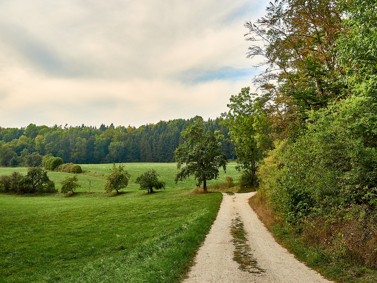 Wanderung auf der DonauWelle Donauversinkung